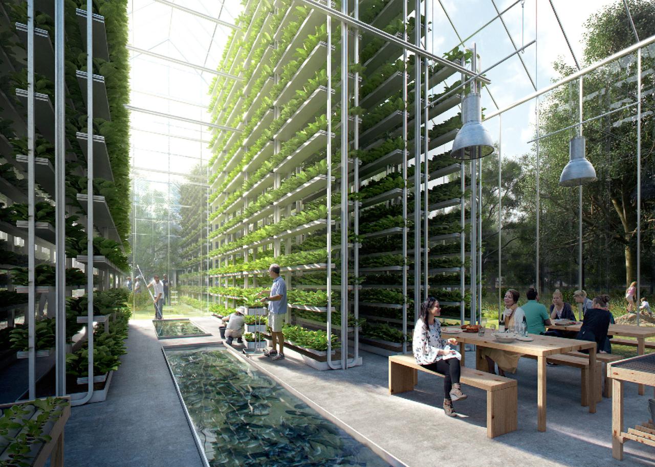 Lufa Farms' vertical farming technology and urban agriculture