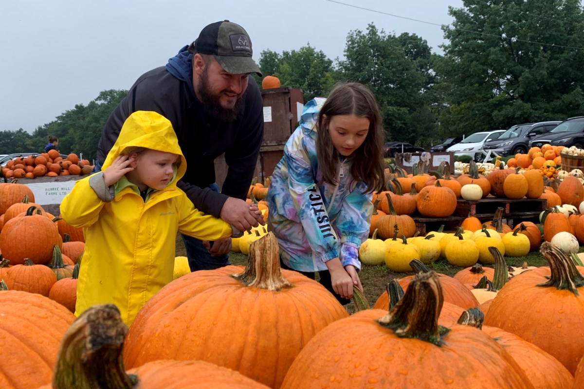 Barrie Hill Farms corn maze and fall festival