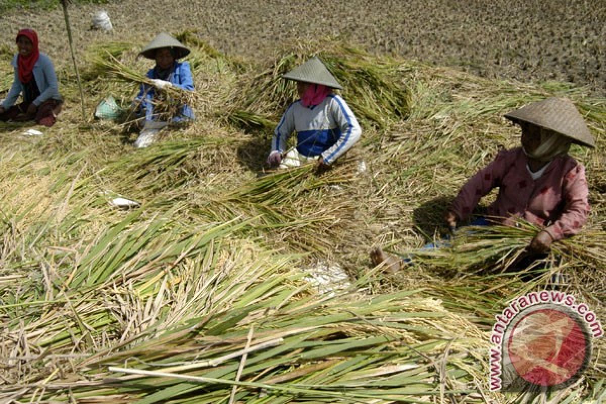 Farmer Jane's impact on local food systems and community engagement