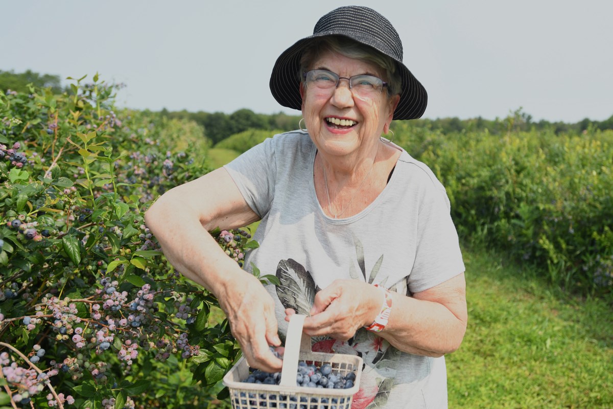 Barrie Hill Farms' history and community involvement