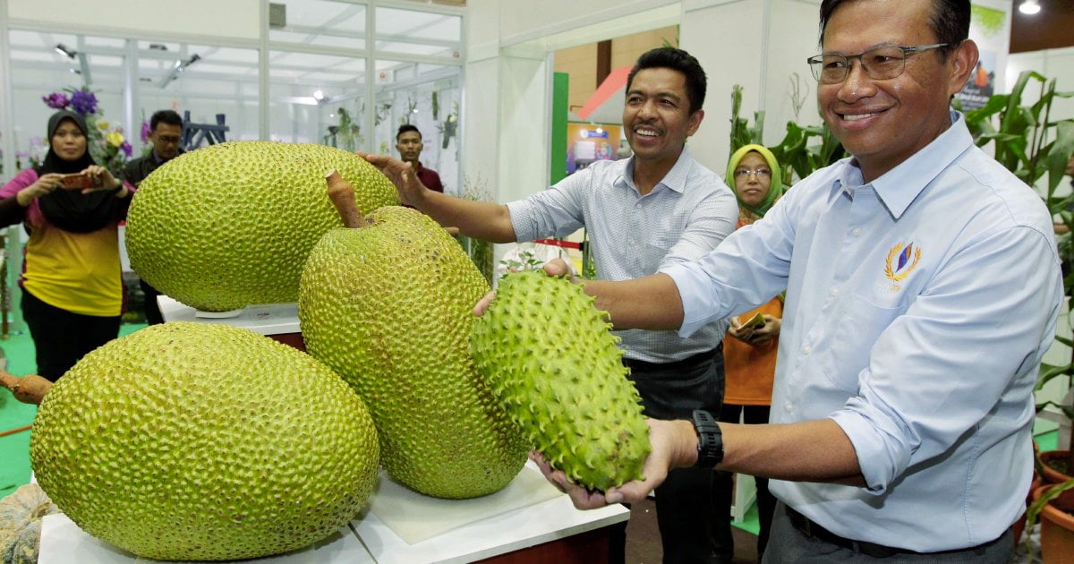 Maan Farms' contribution to the local food system