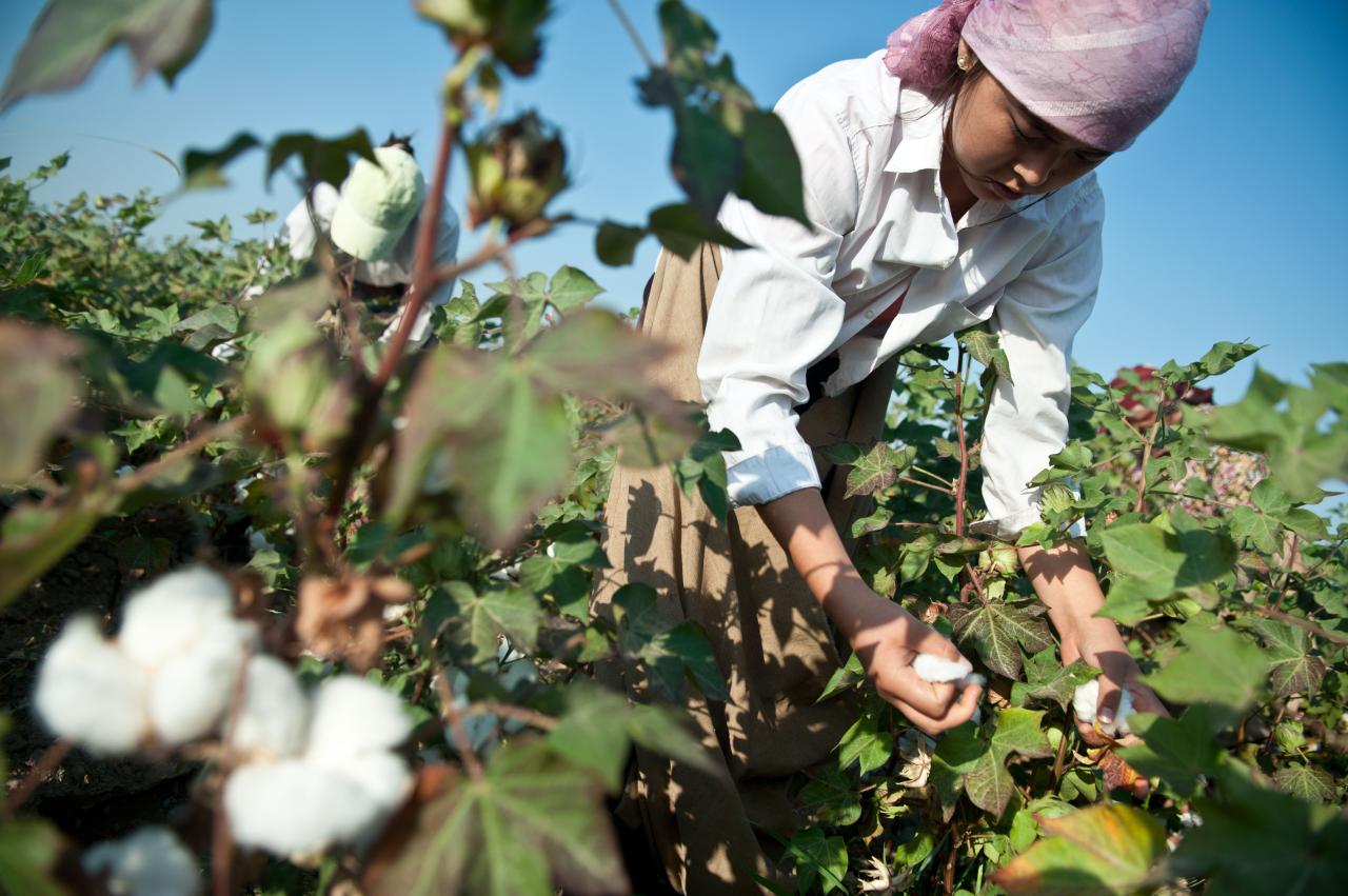 Farmer Jane Regina's impact on local food systems