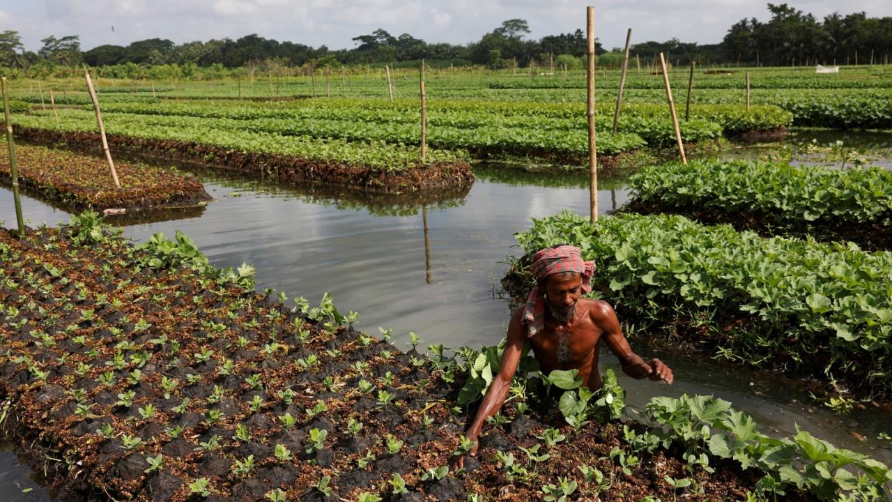 Farmer Jane Regina's innovative approaches to agriculture