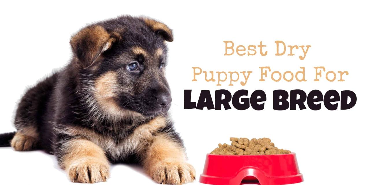 Best Open Farm dog food for large breed puppies