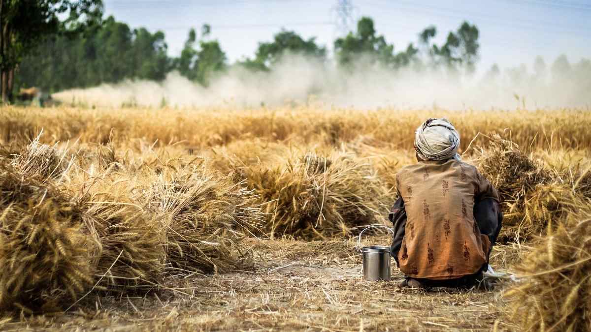 Financial challenges faced by millennial farmers in starting their farms