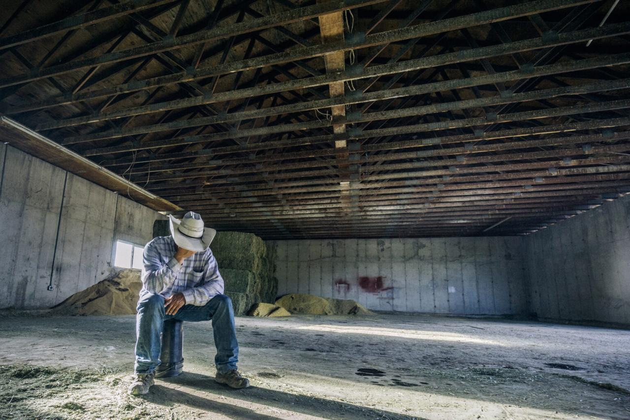 The mental health challenges faced by millennial farmers