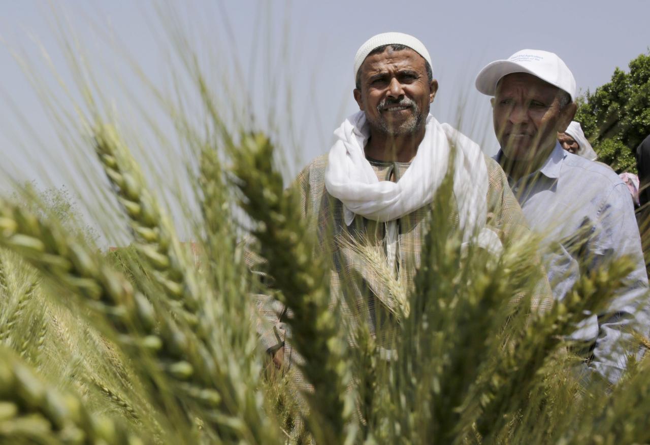 Farmer Jane Regina's impact on local agriculture