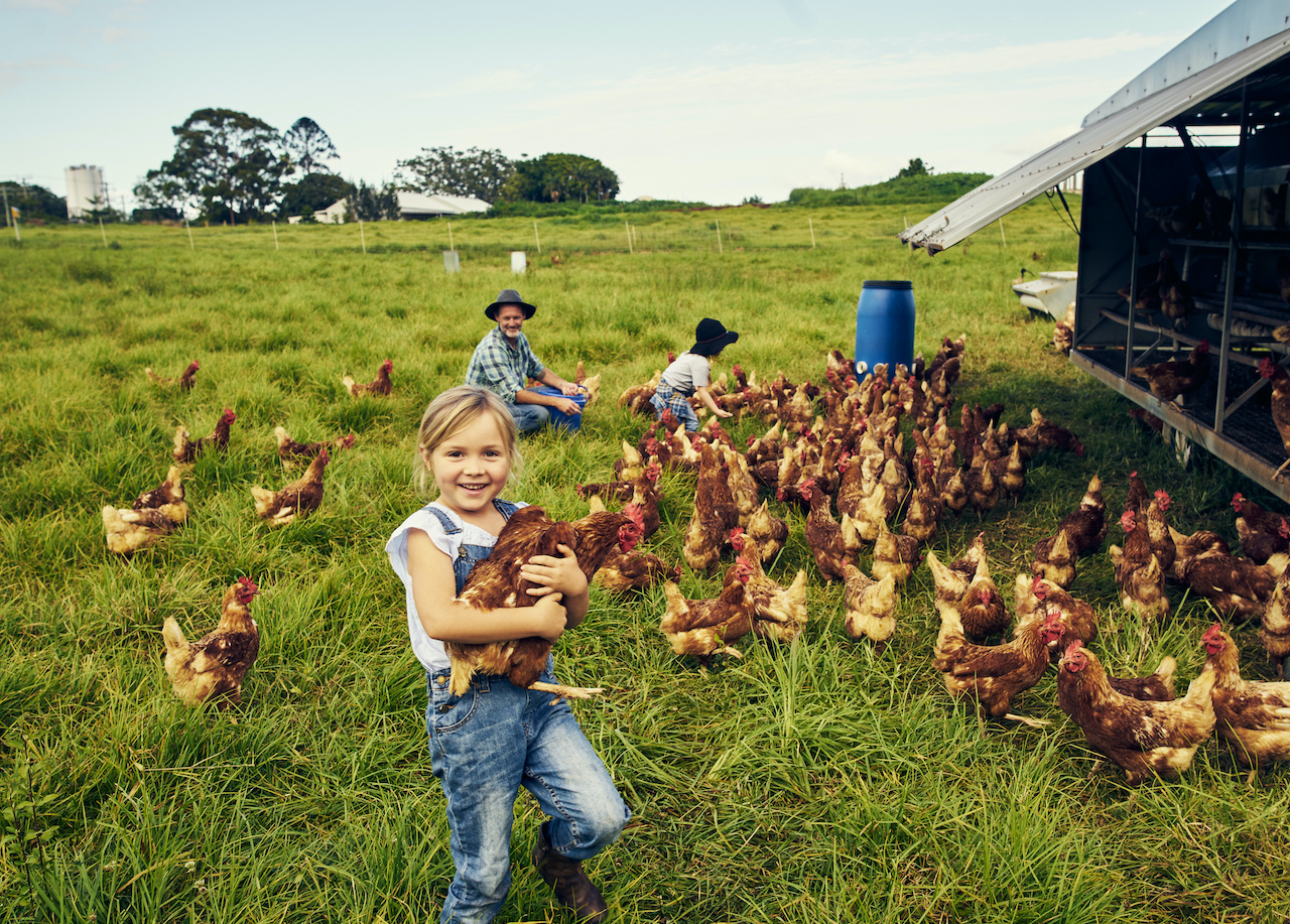 Open farm experiences for families and children