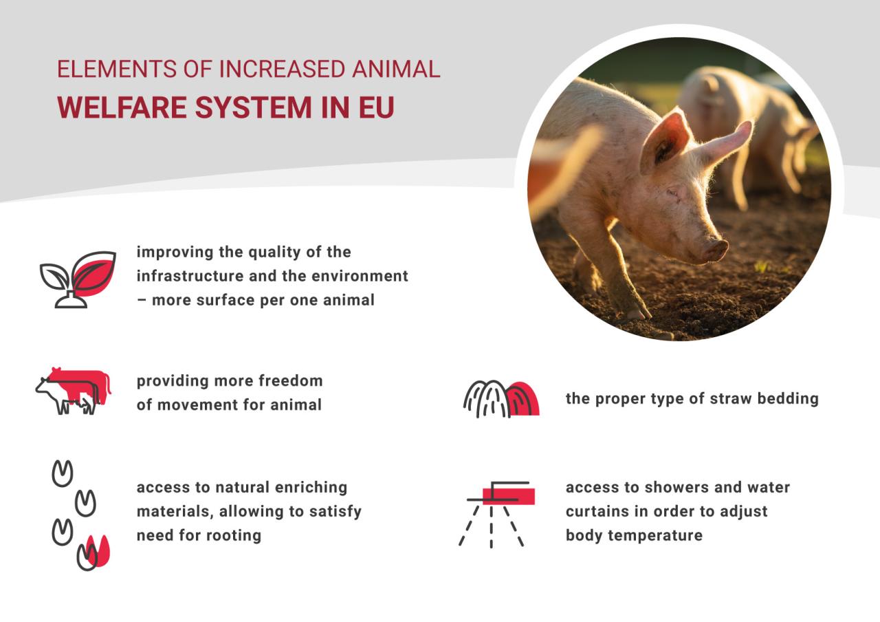 Open farm animal welfare standards and certifications