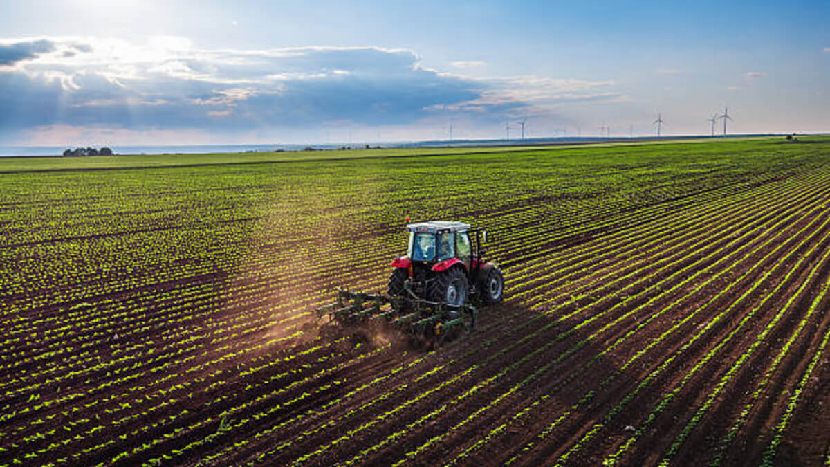 Maan Farms' history and contribution to agriculture