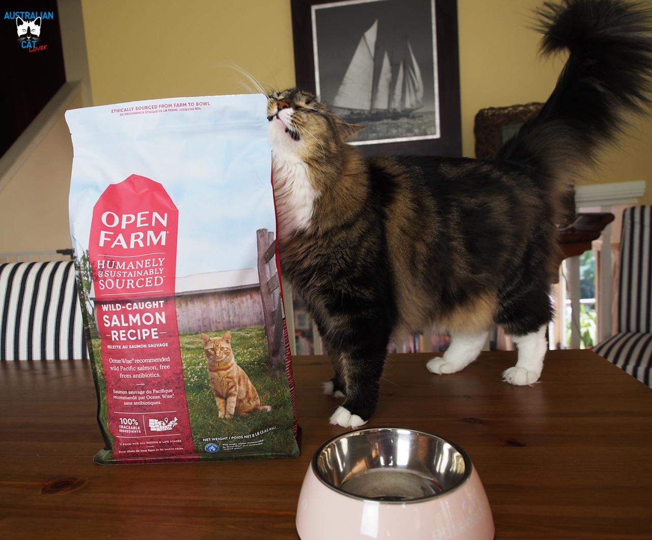 Open Farm cat food reviews and customer experiences