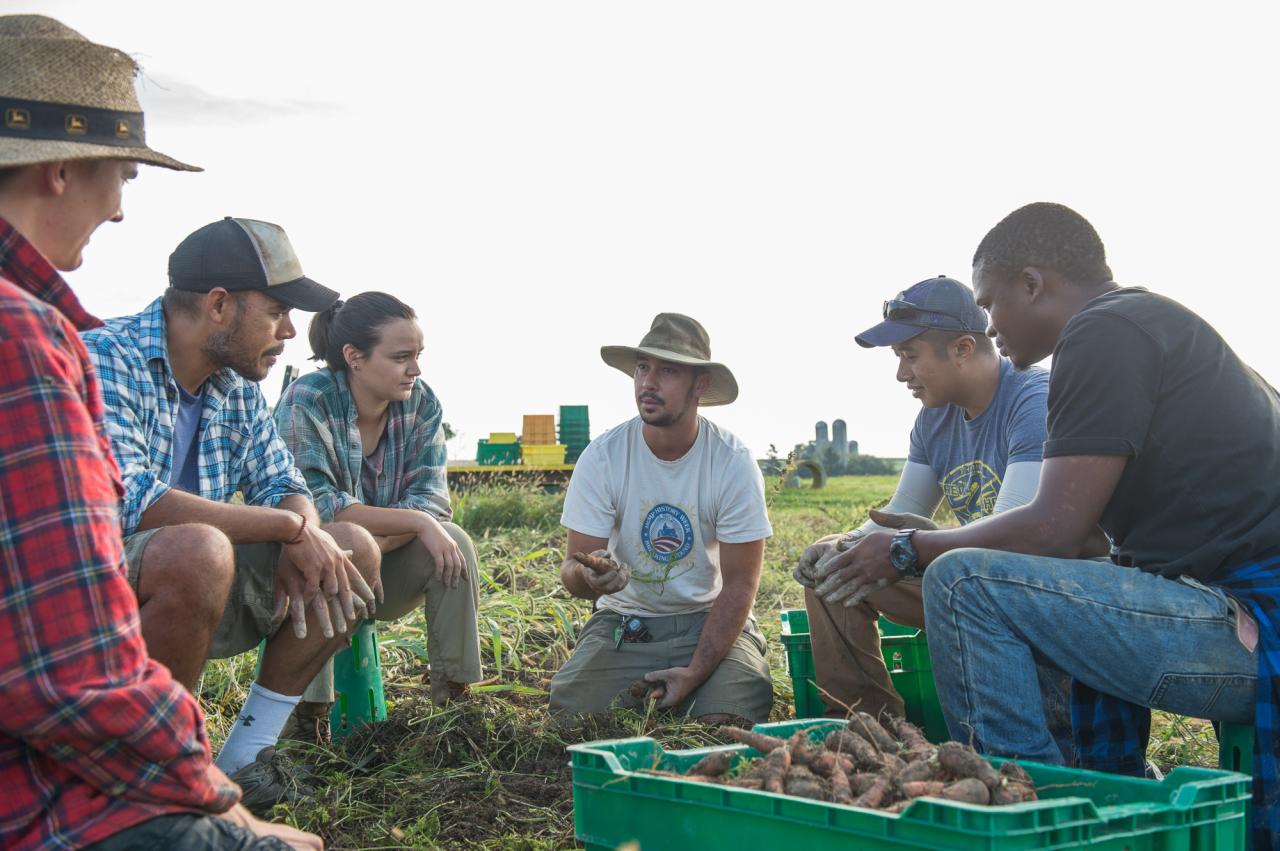 The role of education and training in supporting millennial farmers