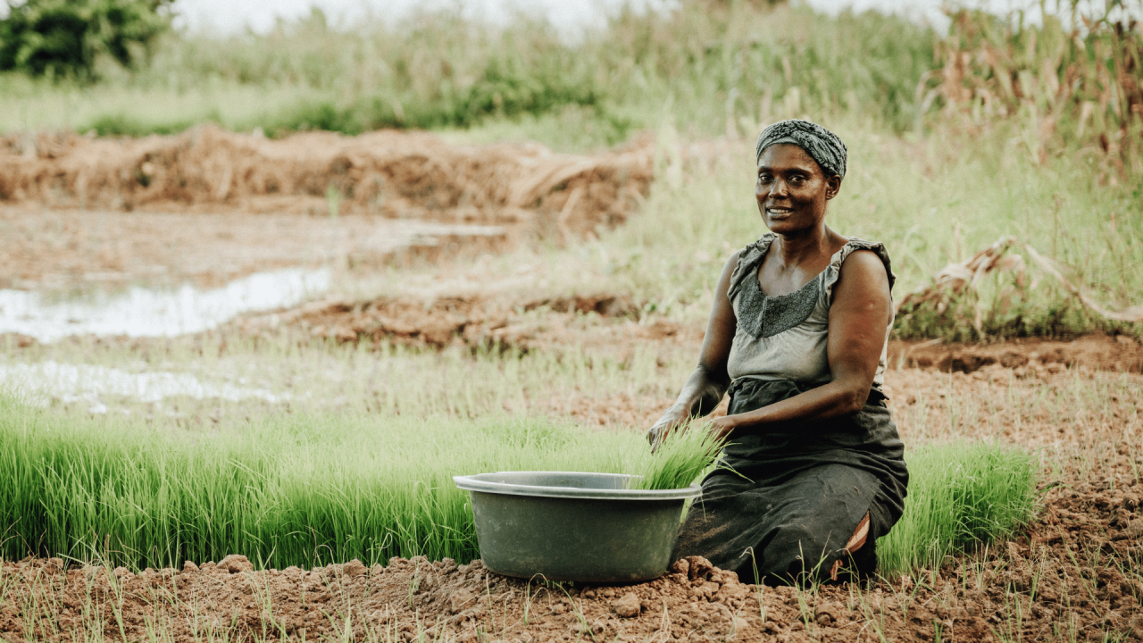 Farmer Jane Regina's impact on local food systems and community engagement