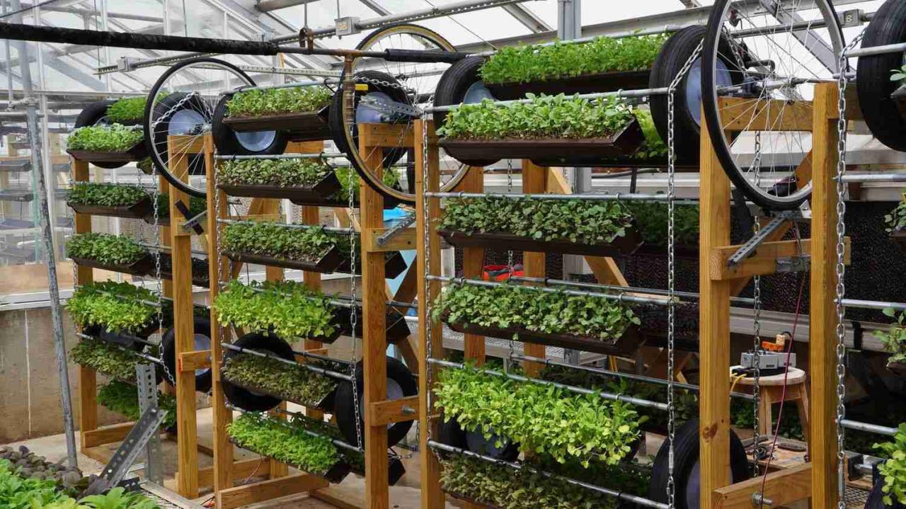 Lufa Farms' vertical farming technology and impact