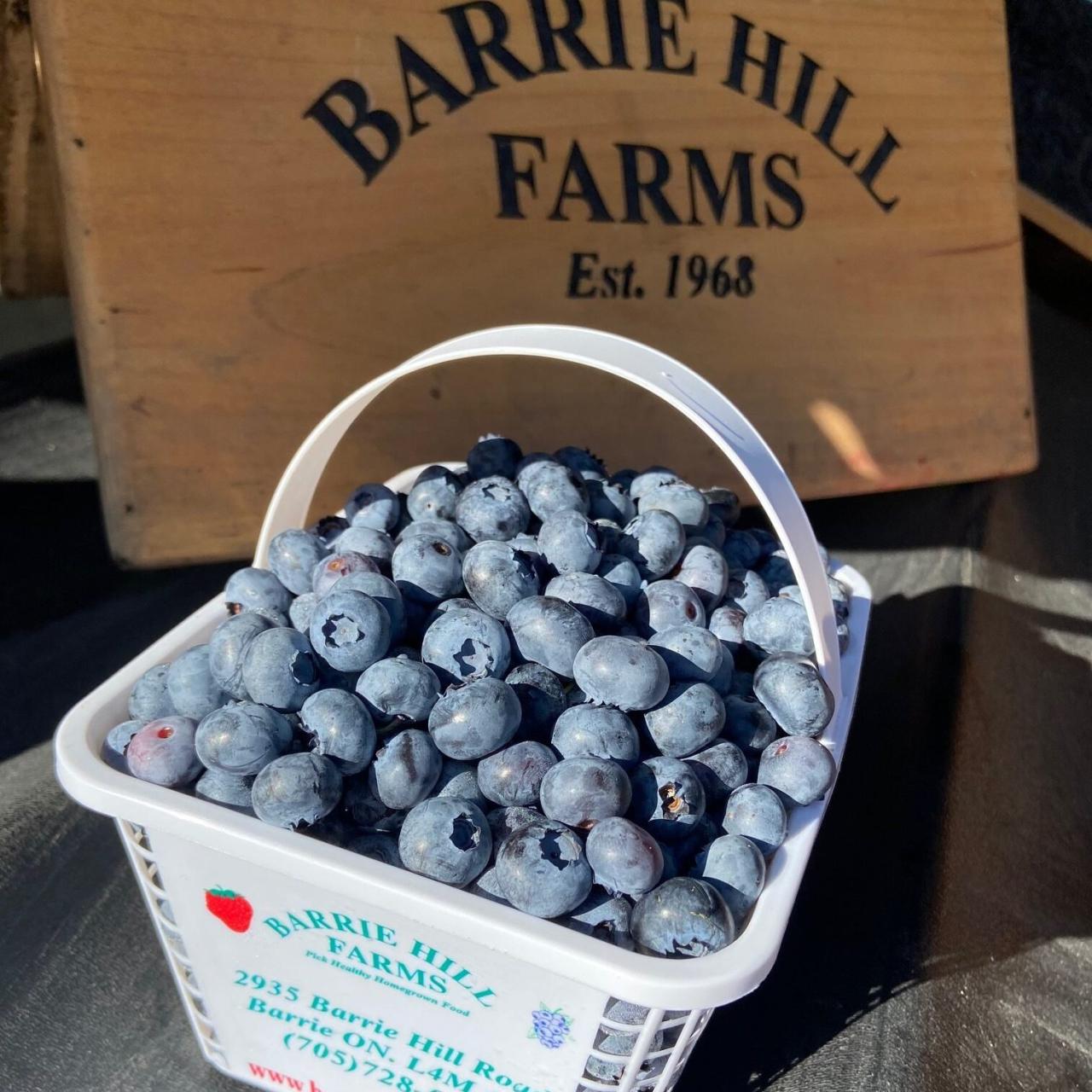 Barrie Hill Farms' contribution to the local economy