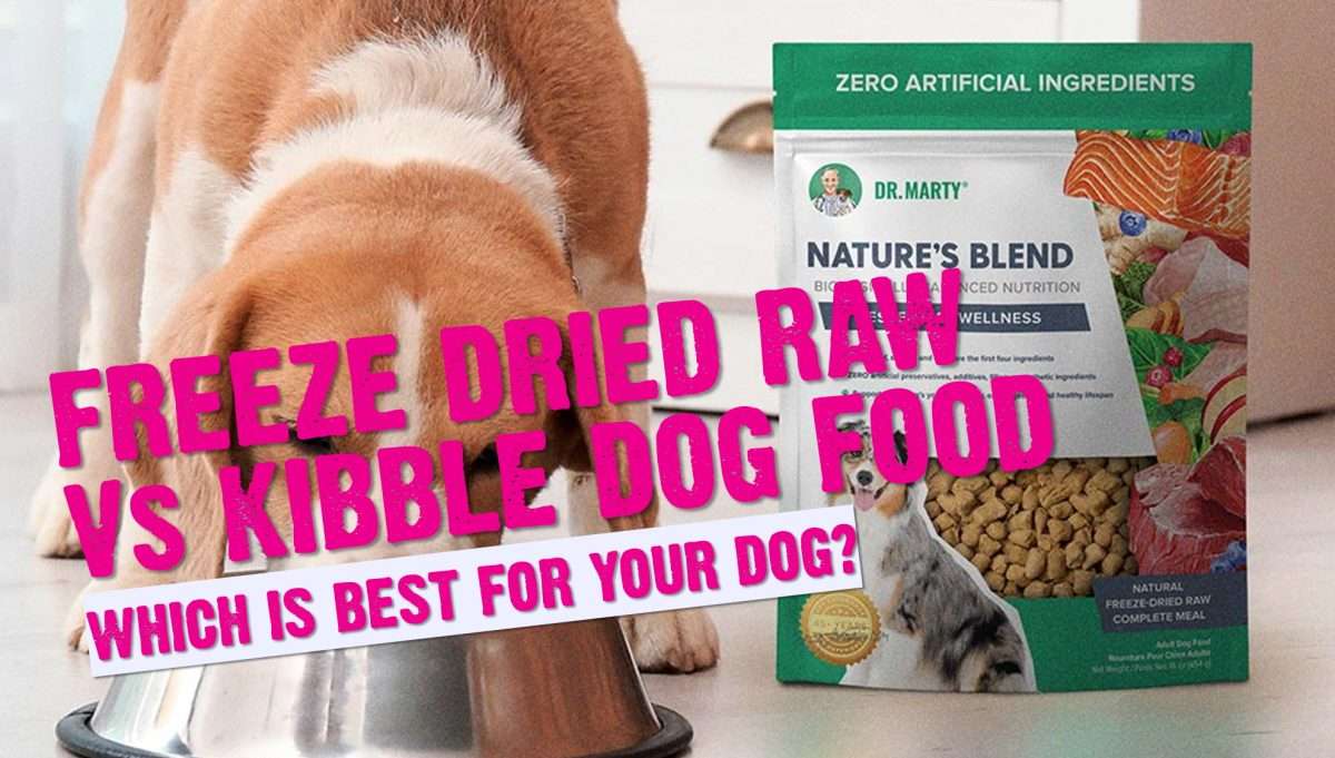 Open Farm freeze-dried raw dog food benefits and drawbacks