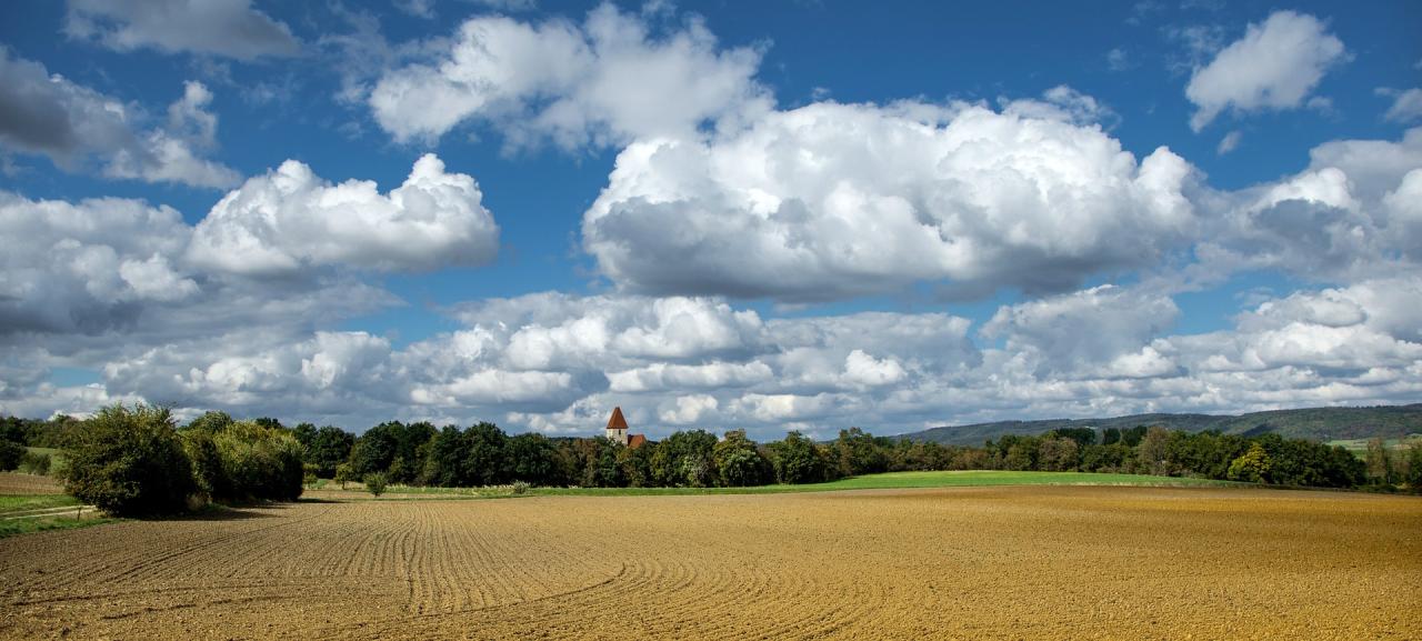 Farmer millennial sustainability goes tech