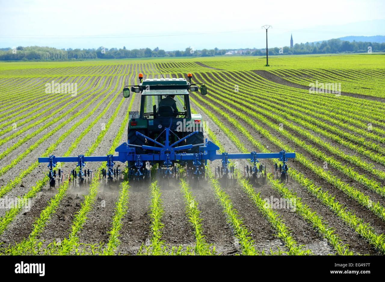 George Farmer's farming techniques and innovations