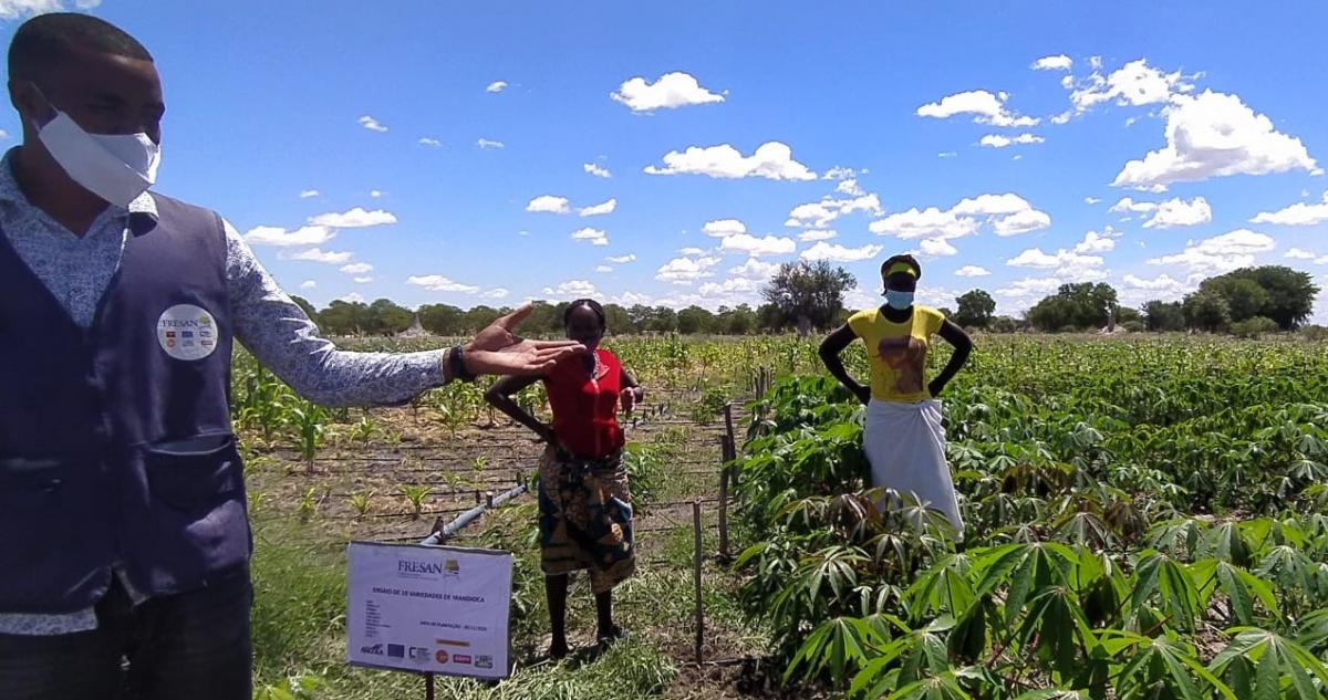 Millennial farmers and the adoption of sustainable farming practices