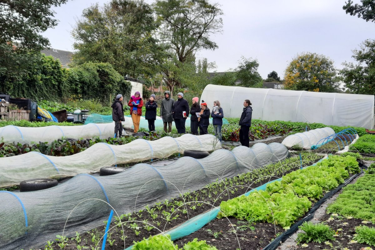 Barrie Hill Farms' contribution to local food security and economic development