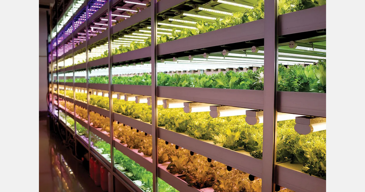 Lufa Farms vertical farming technology and production