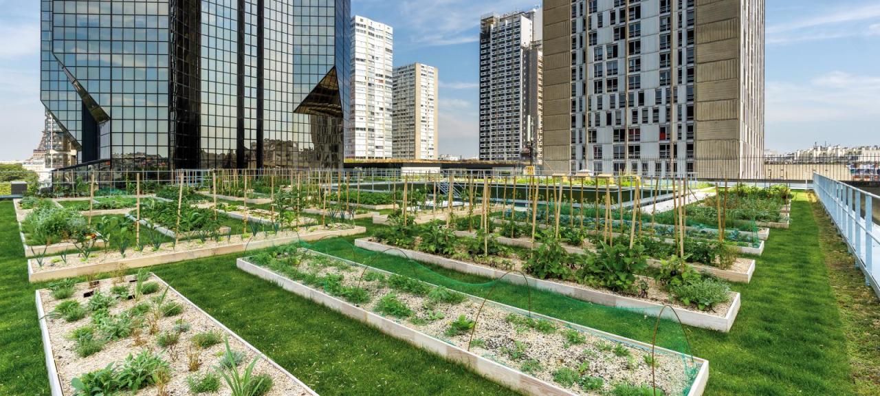 Lufa montreal greenhouse rooftop hydroponics