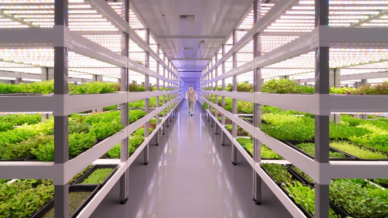 Lufa Farms' vertical farming technology and urban agriculture model