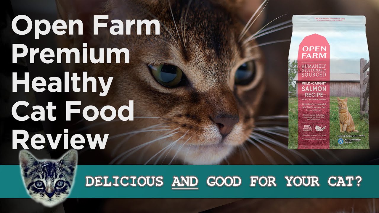 Open Farm cat food reviews and comparisons with other brands