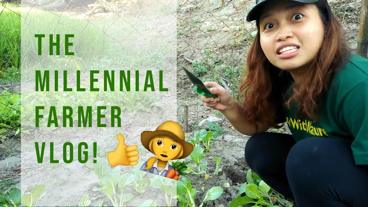 Millennial farmer success stories and challenges