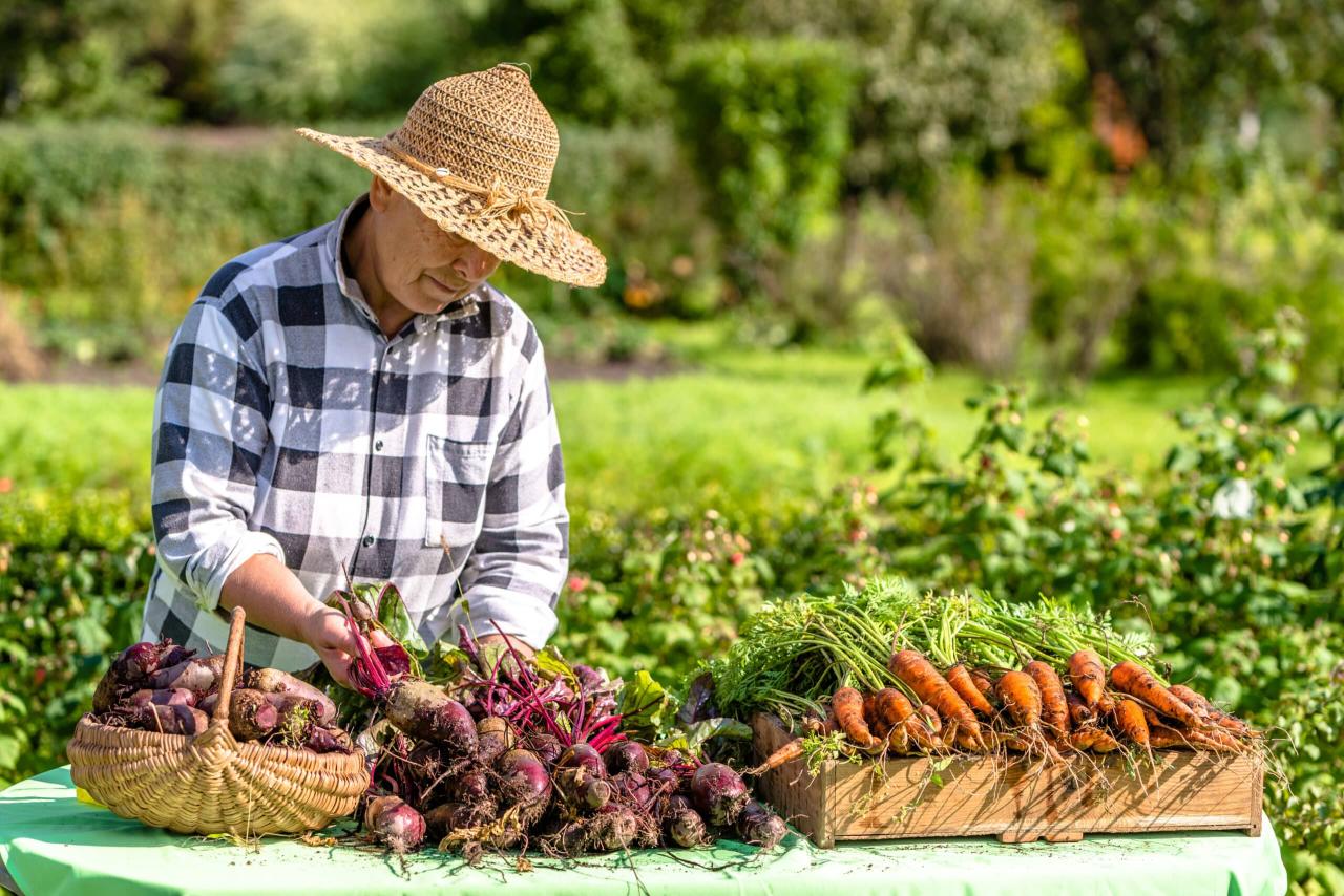 Farmer Jane's sustainable farming practices and impact