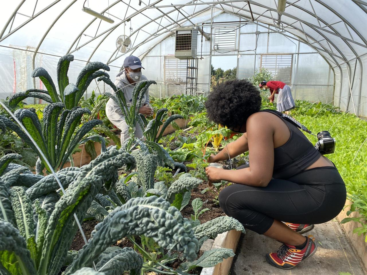 Farmer Jane's impact on local food systems and community engagement