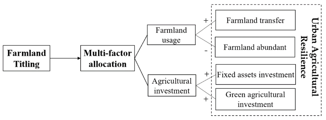 Farmer Jane Regina's impact on local food systems