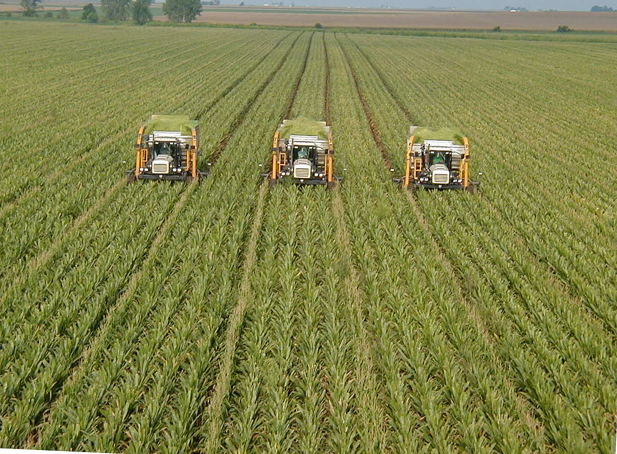 George Farmer's farming techniques and best practices