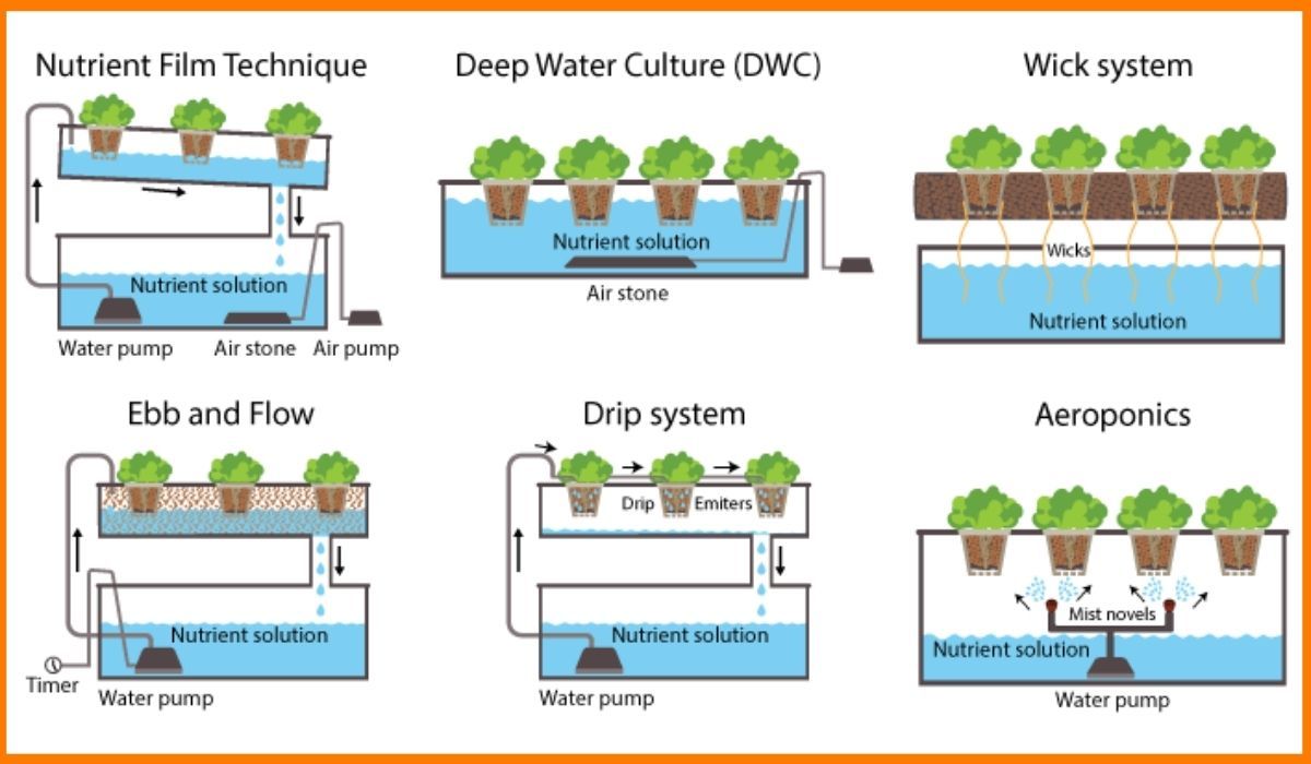 Lufa Farms' urban farming model and benefits